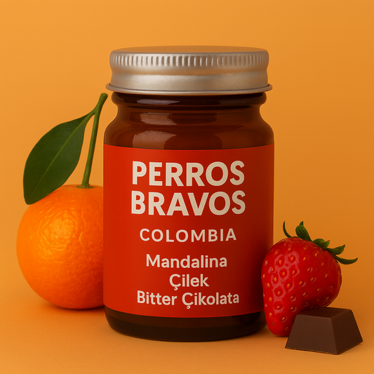 Perros Bravos - Colombia - Caturra Anaerobic Natural - Nitelikli Espresso