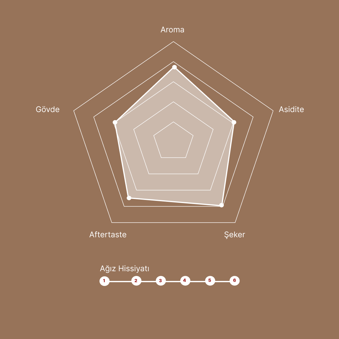 Fazenda Chapadau Anaerobic Natural Brazil
