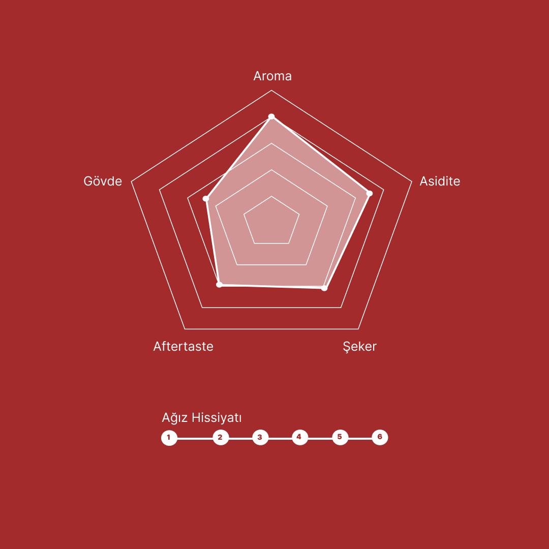 Santa Helena Natural Colombia - Nitelikli Espresso