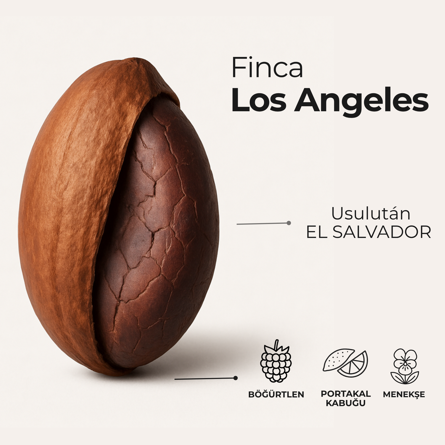 Finca Los Angeles El Salvador