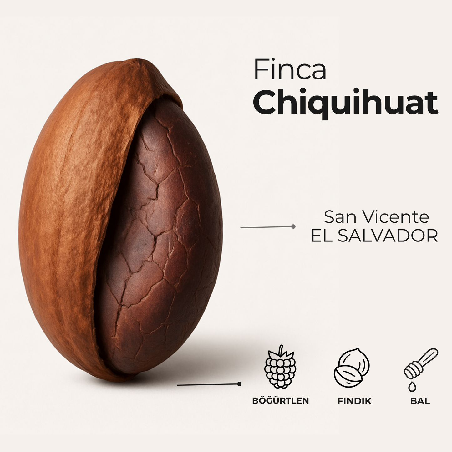 Finca Chiquihuat El Salvador