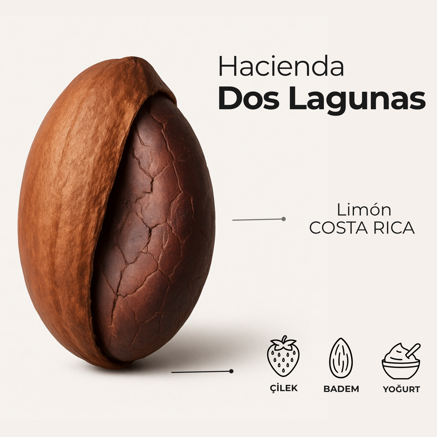 Hacienda Dos Lagunas Costa Rica