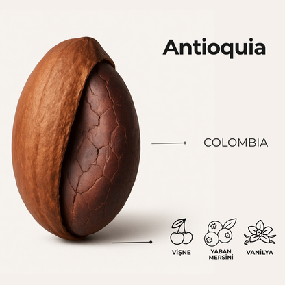 Antioquia Flor De Magdalena Colombia