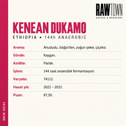 Kenean Dukamo COE 144h Anaerobic Ethiopia